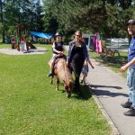 phoca_thumb_m_ponk 81 Fotogalerie